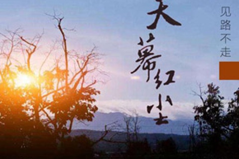 天幕红尘丨遥远的救世主姊妹篇
