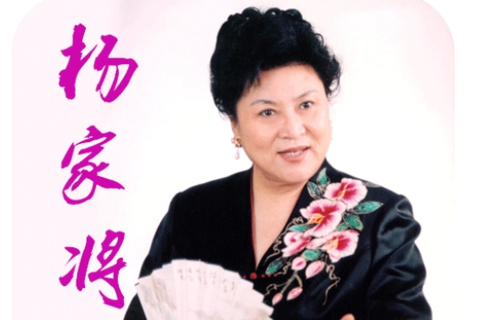 刘兰芳 杨家将