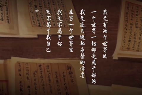 我眼中的你