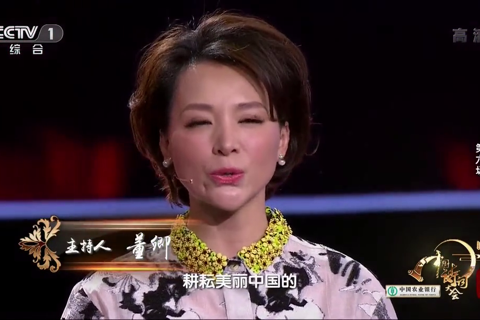 中国诗词大会第二季06