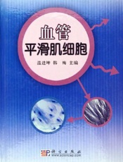 血管平滑肌细胞