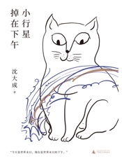 小行星掉在下午 - 沈大成
