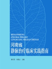 河南省静脉治疗临床实践指南-杨巧芳，宋葆云