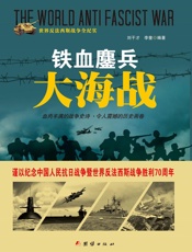 铁血鏖兵大海战