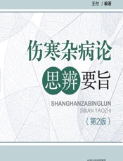 伤寒杂病论思辨要旨-王付