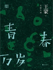 青春万岁 - 王蒙