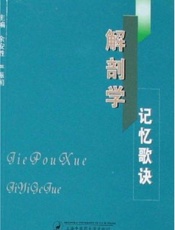 解剖学记忆歌诀