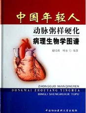 中国年轻中学英语教师学科教学知识的发展