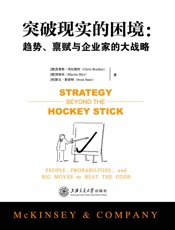 突破现实的困境：趋势、禀赋与企业家的大战略 - 克里斯·布拉德利_&_贺睦廷_&_斯文·斯密特