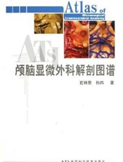 颅脑显微外科解剖图谱